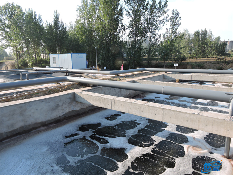 1644201548101633.jpg DSCN5538_副本2.jpg