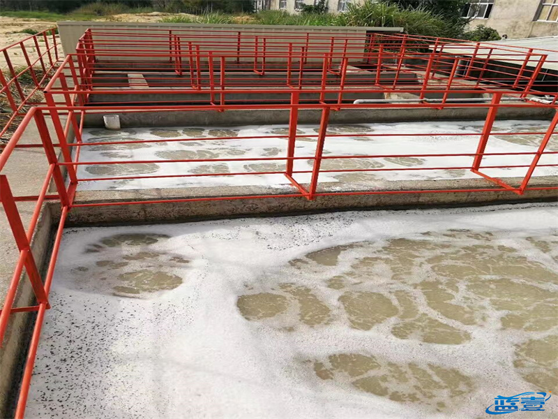 1667008905196134.jpg 2.jpg