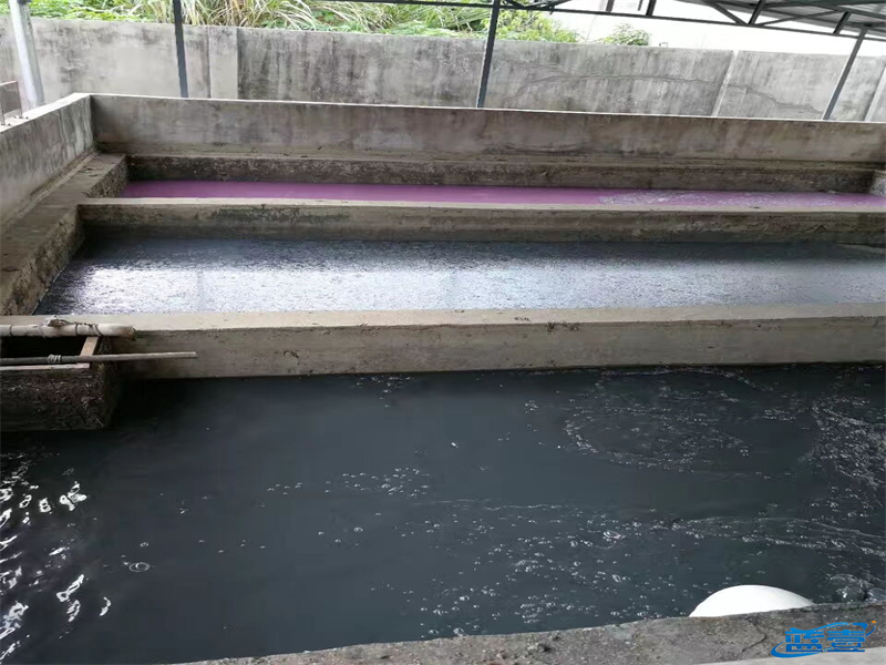 1667009166103672.jpg 1.jpg