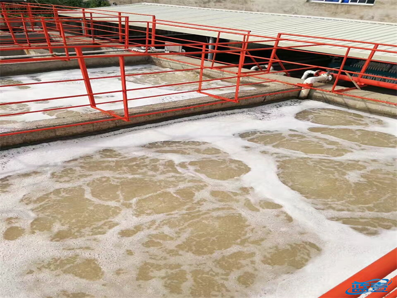 1667009179187741.jpg 3.jpg