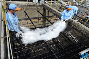 南星化工廢水處理設備現(xiàn)場安裝圖