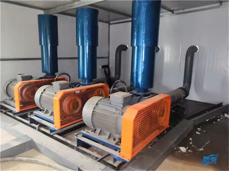 羅茨鼓風(fēng)機