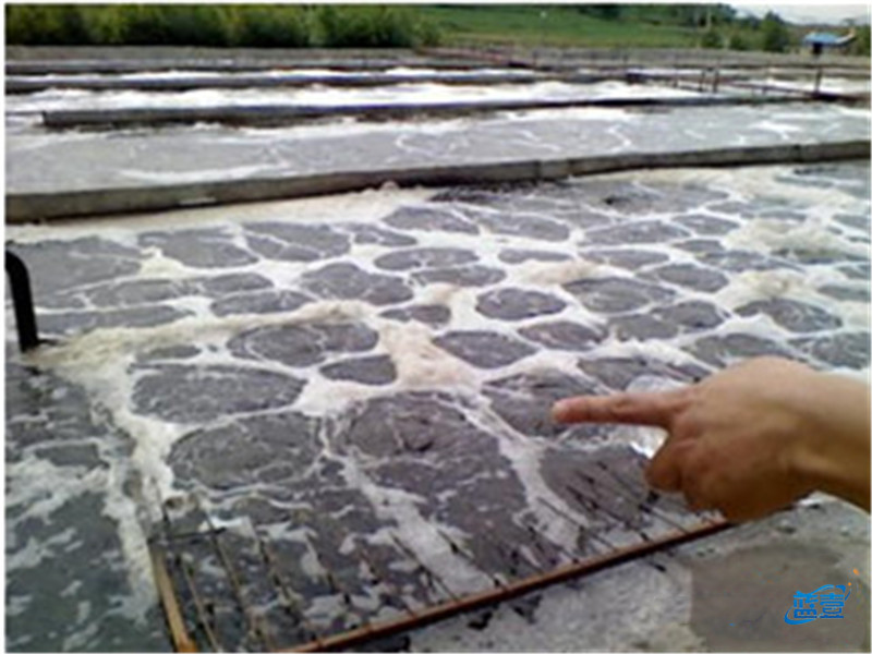 藍壹厭氧生化池