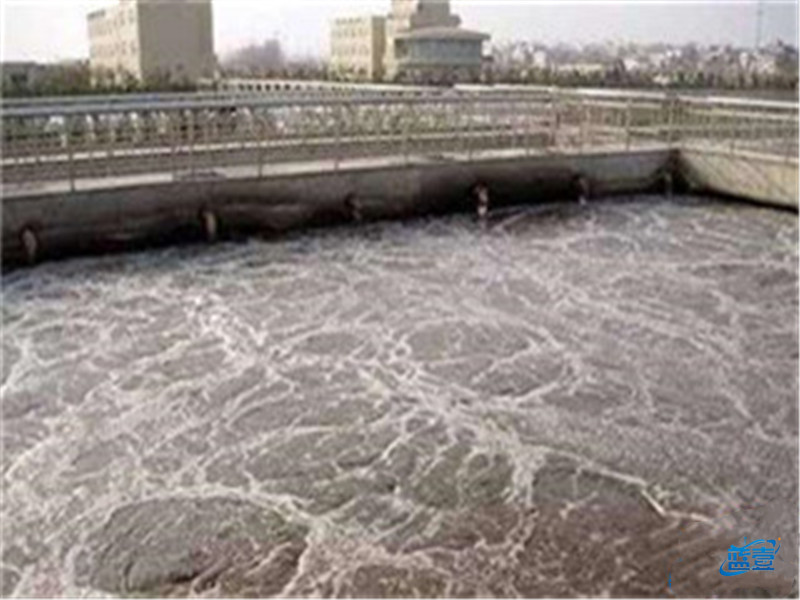 藍(lán)壹活性污泥法