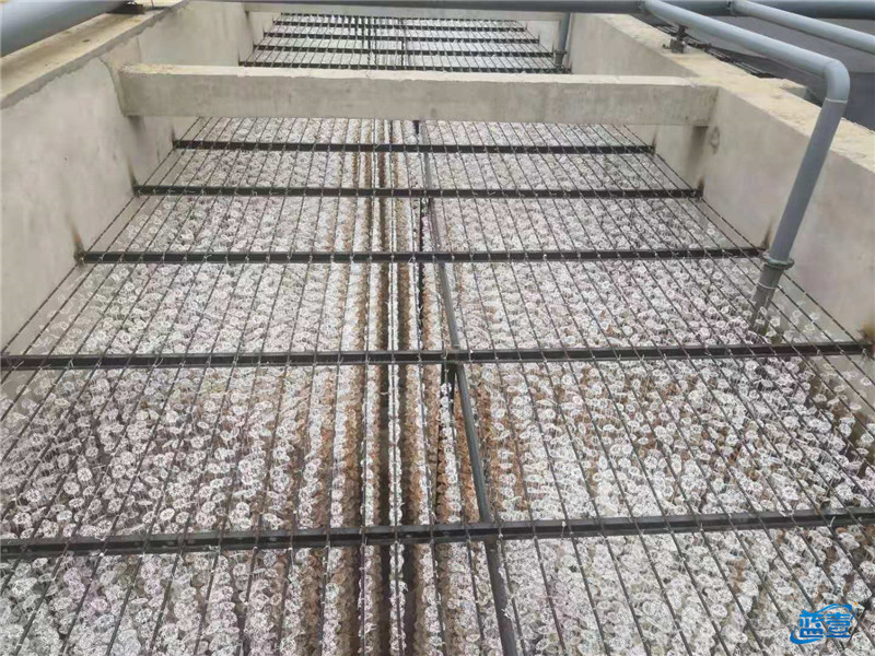 藍(lán)壹好氧生化池