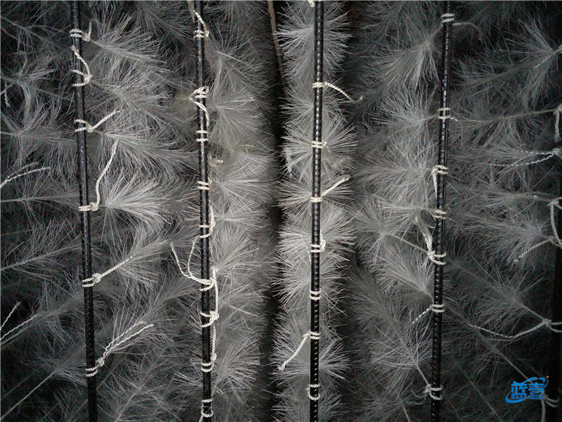 藍(lán)壹污水處理設(shè)備