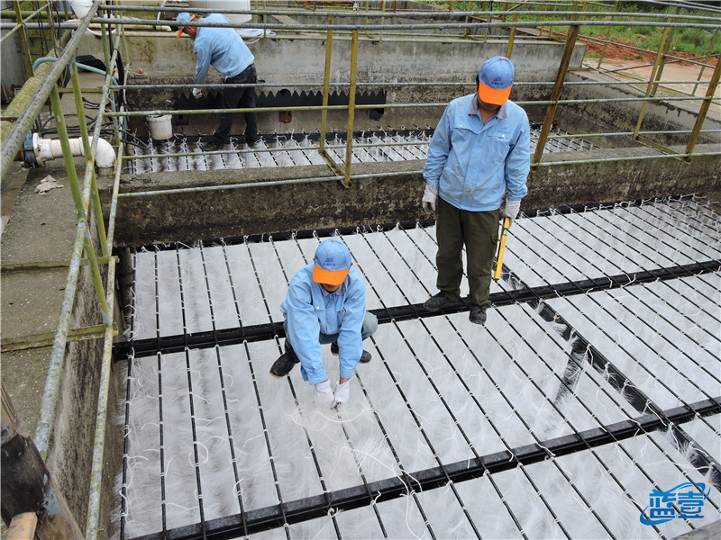 藍(lán)壹生物填料