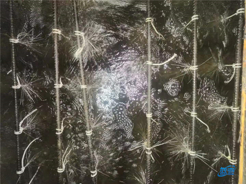 藍(lán)壹厭氧池