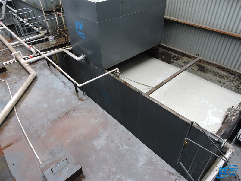 藍(lán)壹食品廢水處理